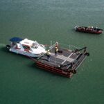 Boab Commercial Marine's modular barges (non-propelled), operating in 2D zones.