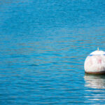 Safety buoy marking marine project boundaries in open coastal waters